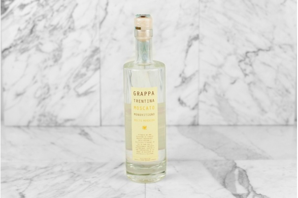 Grappa Trentina of Moscato...