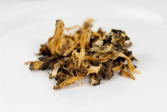 Funghi Finferle essiccati